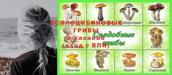 МДПВ Алзамай