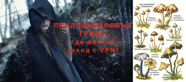 PSILOCYBIN Алексин