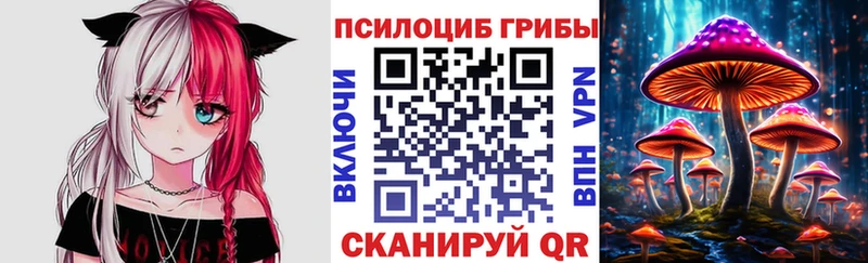МЕГА рабочий сайт  Кириши  Псилоцибиновые грибы Cubensis 